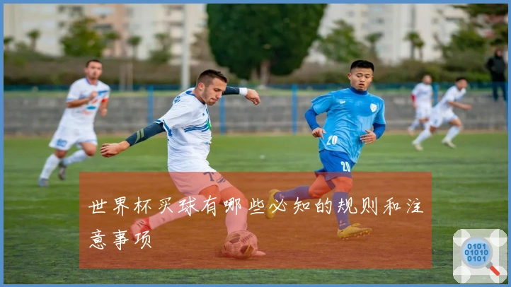 世界杯买球有哪些必知的规则和注意事项