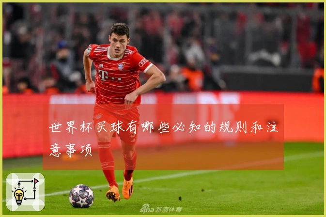 世界杯买球有哪些必知的规则和注意事项