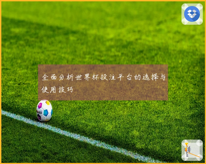 全面分析世界杯投注平台的选择与使用技巧