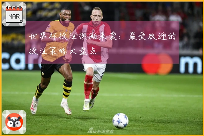 世界杯投注热潮来袭，最受欢迎的投注策略大盘点