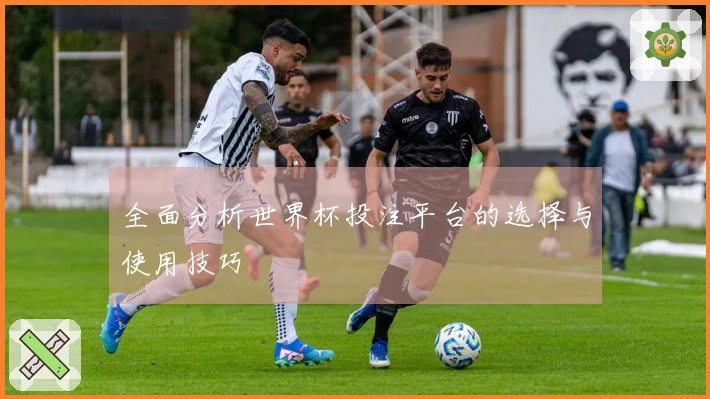 全面分析世界杯投注平台的选择与使用技巧
